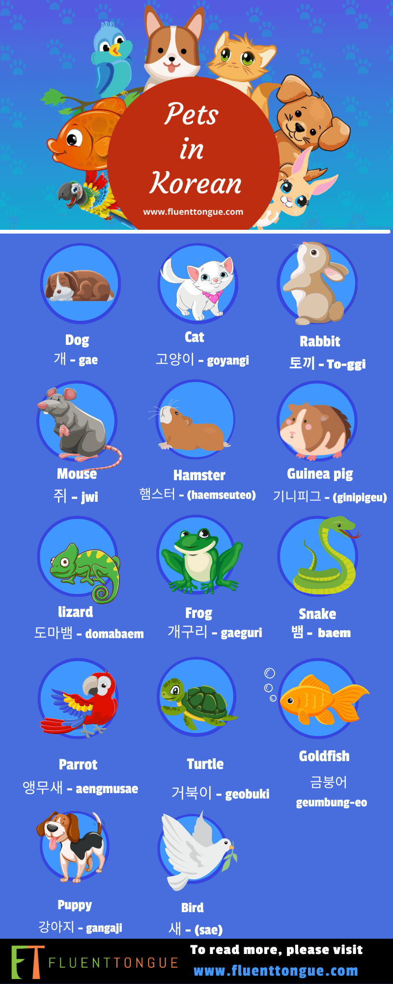 animals in korean