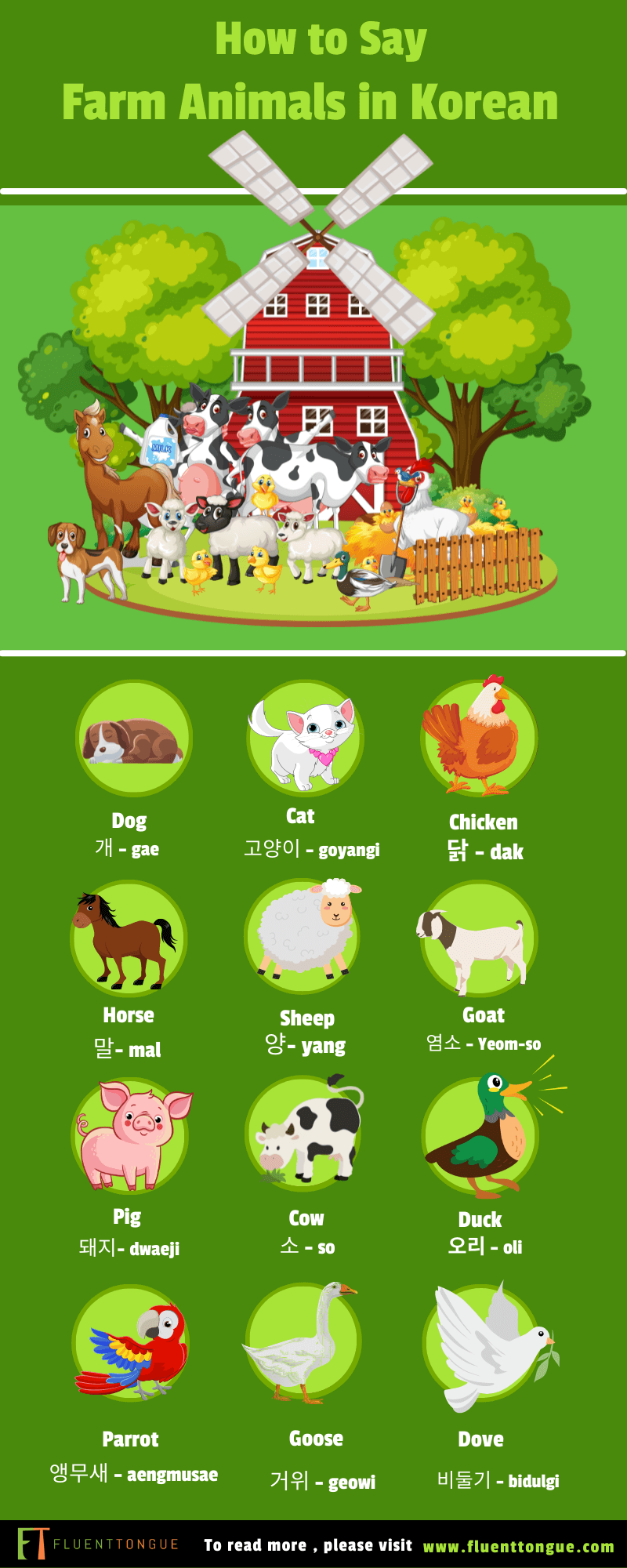 animals in Korean -farm animals 