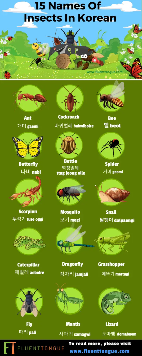 animals in korean