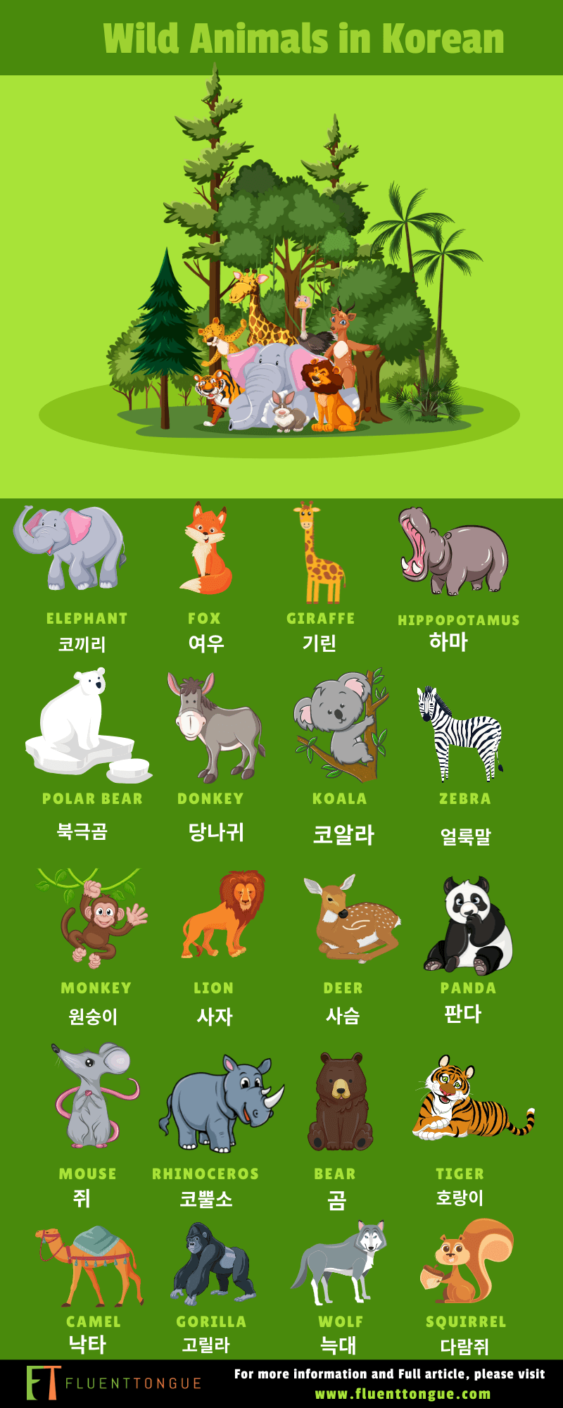 wild animals in korean
