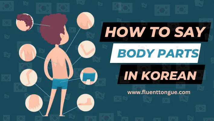 BODY PARTS IN KOREAN