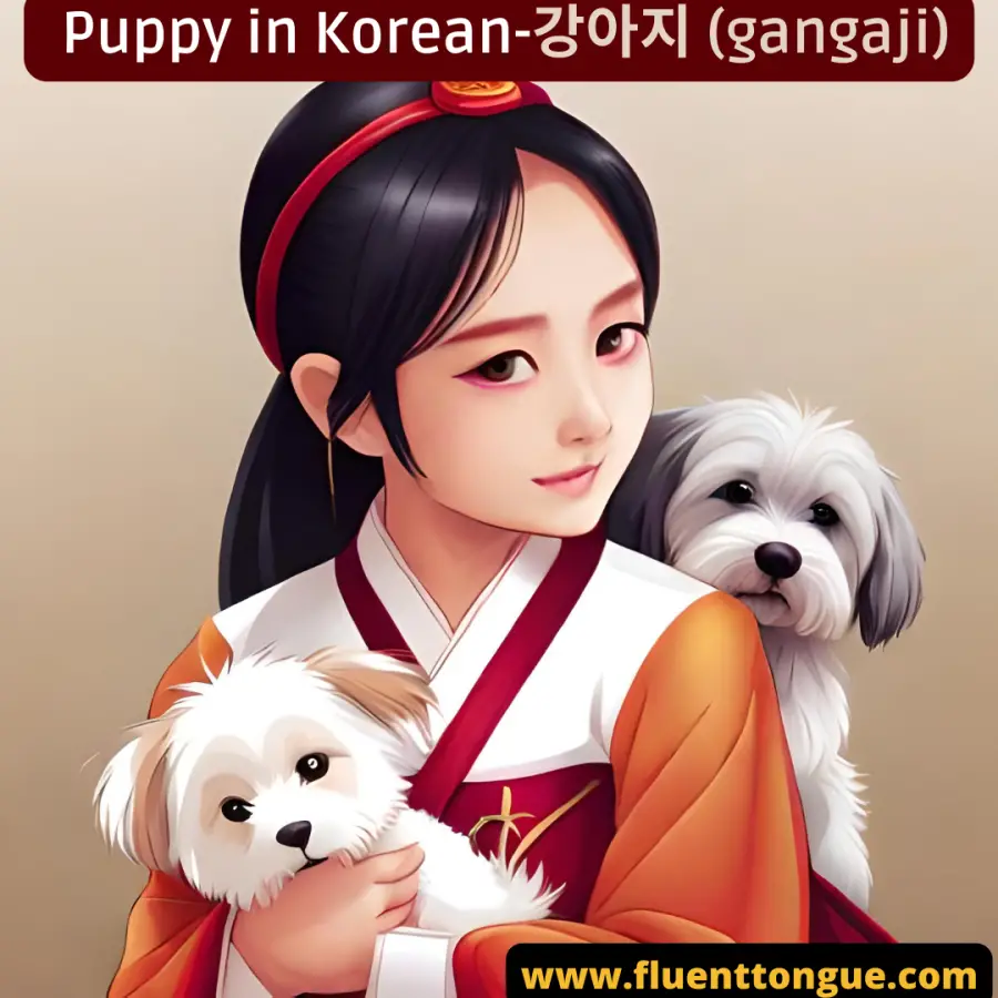 강아지 in Korean | How do you say puppy in Korean?