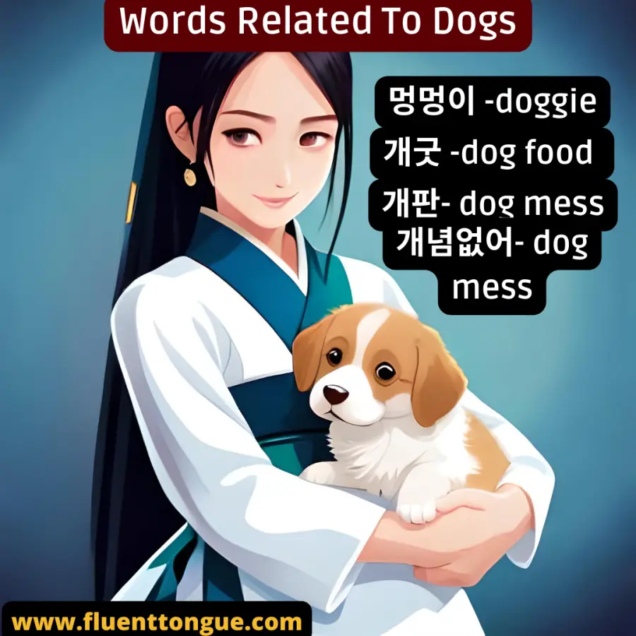 Korean slang words related to the word dog in korean 