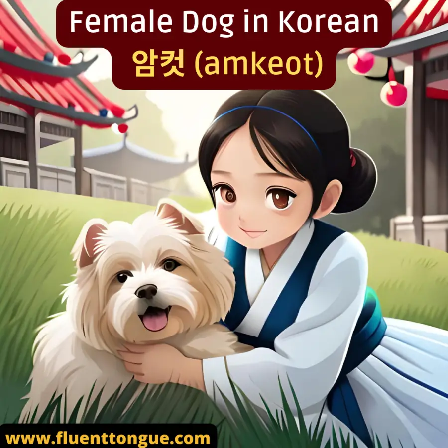 How to say female dog in Korean