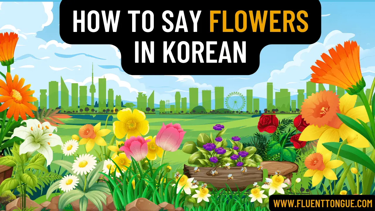 flower in korean