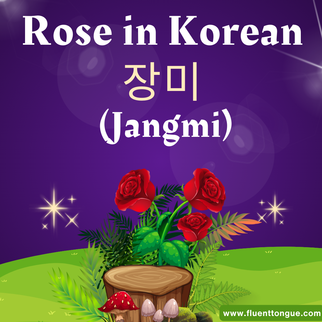 Rose in Korean 