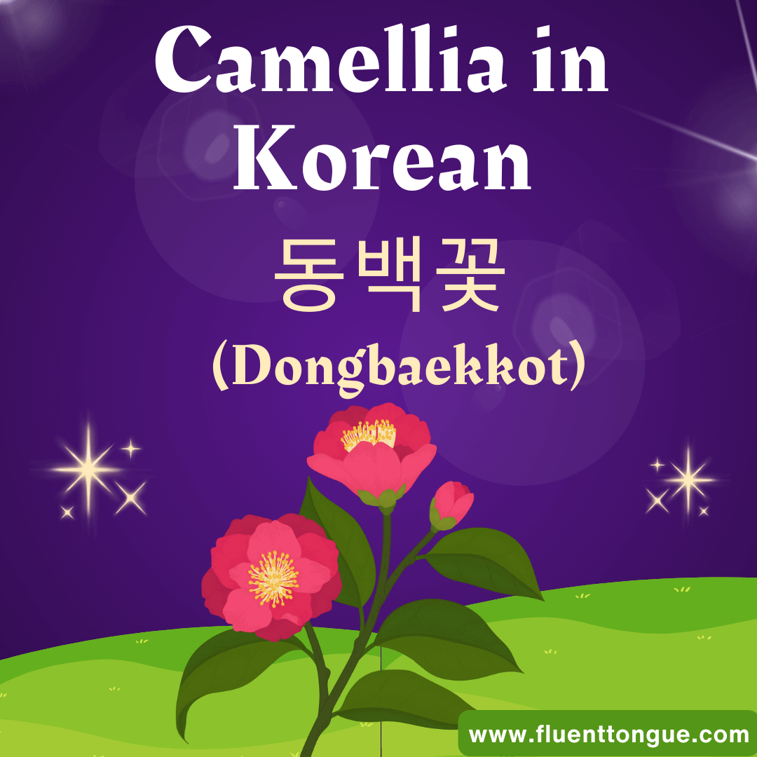 flower in korean